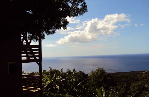 Pointe-Noire House | Guadeloupe-Paradisio, Pitaya