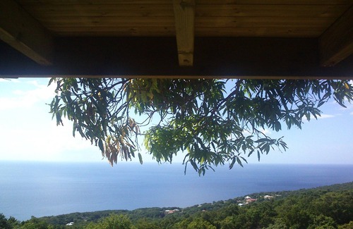 Pointe-Noire House | Guadeloupe-Paradisio, Pitaya