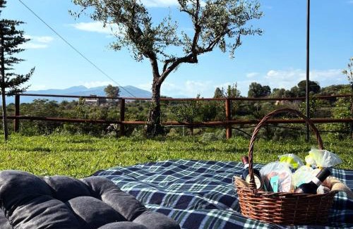 Sessa Aurunca Bed & Breakfast | Guar Country Resort