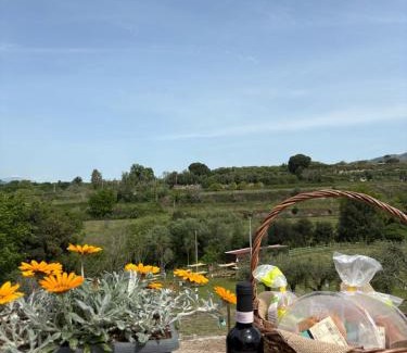 Sessa Aurunca Bed & Breakfast | Guar Country Resort