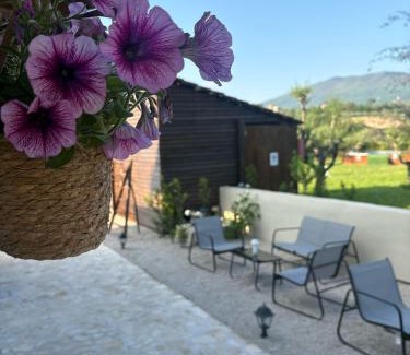 Sessa Aurunca Bed & Breakfast | Guar Country Resort