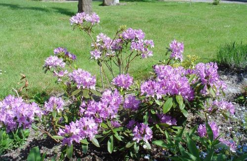 Hirel House | GUERINEL HERBERT PIERRETTE