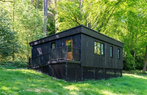 Hindhead Cabin | Guest Cabin in the Hampshire Woods