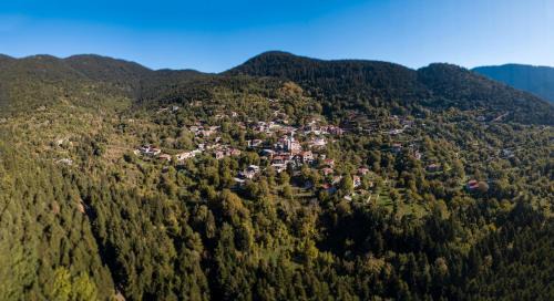 Potamia House | Guest House Amadryades