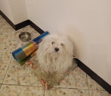 Gabicce Mare House | Guest House Attico Della Vittoria