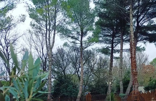 Carcassonne Bed & Breakfast | Guest room 4pers. 3 minutes from the medieval city. Private Jacuzzi and swimming pool
