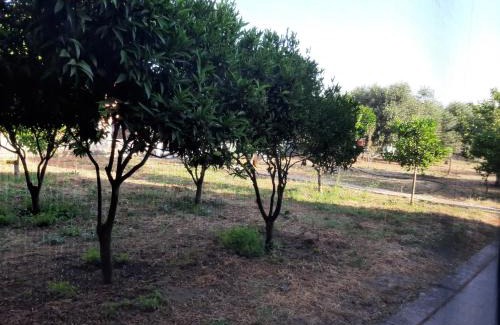 Sassari House | Guesthouse da Caterina