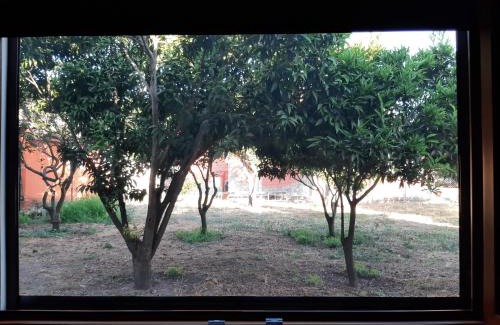 Sassari House | Guesthouse da Caterina