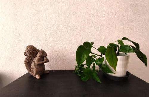Campoamor House | GUESTHOUSE SHARED with HOST