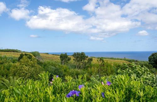 Ponta Delgada House | GuestReady - O Segredo da Ilha