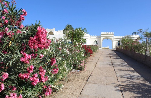 Pushkar Hotel | Gulaab Niwaas Palace