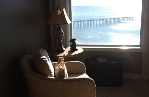 Navarre Beach Condo | Gulf front Beach Colony W w/seasonal beach chair/umbrella service March-October