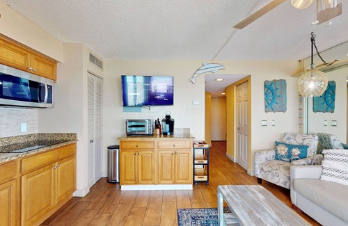 Belleair Beach Condo | Gulf-front condo with pool, beach access, balcony & central AC - dog-friendly