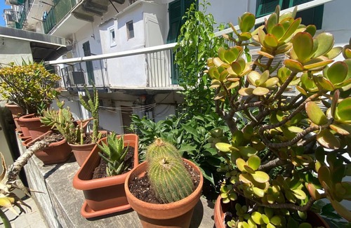 La Spezia Historic Centre Apartment | Gulf of poets home