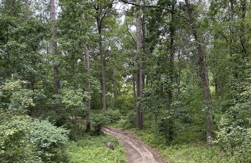 Lake Shore Condo | Gull Lake, Lakeshore Rental!