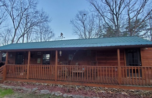 Ellijay Cabin | GUNSMOKE The not so "tiny" cabin with fenced back yard!