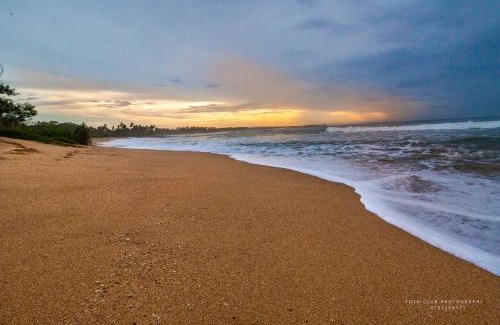 Ranna Hotel | Guru Beach Resort