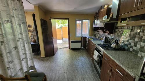 Borjomi Apartment | Gusthouse on Erekle 25 (люкс)