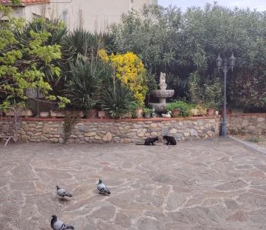 Amelie-les-Bains-Palalda Hotel | Hébergements à La Rive, Accueil ouvert tous les jours jusqu'à 20h00 dernier délai, depuis 30 ans ! Réserver ici svp ! Merci ! Aucun règlement à distance accepté, Paiement par CB, Espèces, Chèque ou Chèques-Vacances impérativement à la remise des clefs !