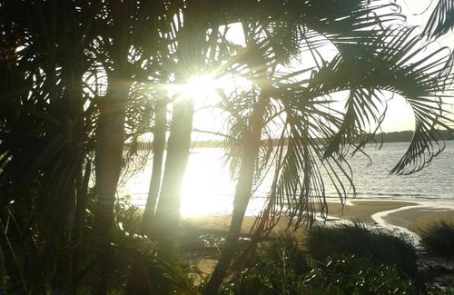 Les Hattes Hotel | Hôtel Amazonia du Fleuve***