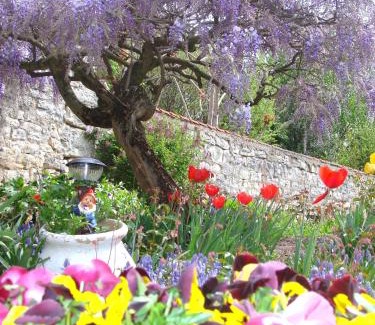 Chagny Hotel | Hôtel De La Ferté