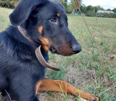 Bergerac Hotel | Hôtel La Flambée