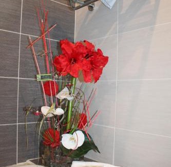 Biscarrosse Hotel | Hôtel Les Italiens