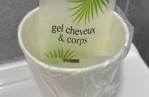 Azay-le-Rideau Hotel | Hôtel Les Trois Lys