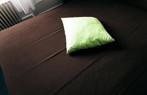 Meximieux Hotel | Hôtel Restaurant Le Lion dOr