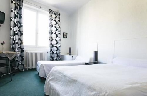 Meximieux Hotel | Hôtel Restaurant Le Lion dOr