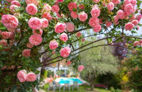 Amboise Hotel | Hôtel Spa - Au Charme Rabelaisien