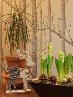 Esquieze-Sere Hotel | Hôtel Terminus