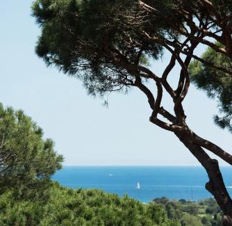 Cote d'Azur- French Riviera Hotel | Hôtel Villa Marie Saint Tropez