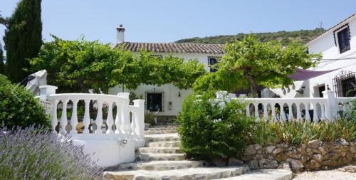 Archidona House | Hacienda la Suerte
