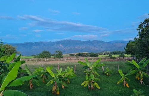 Campoalegre House | Hacienda Villa Liria