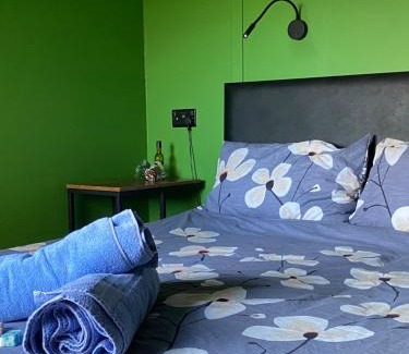 Machynlleth Apartment | Hafan y Mynydd - Mobility adapted double shepherd hut