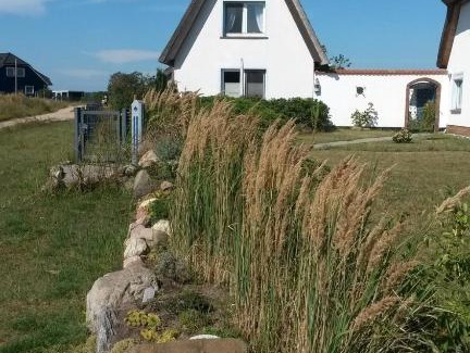 Wieck auf dem Darss House | Hagebutte