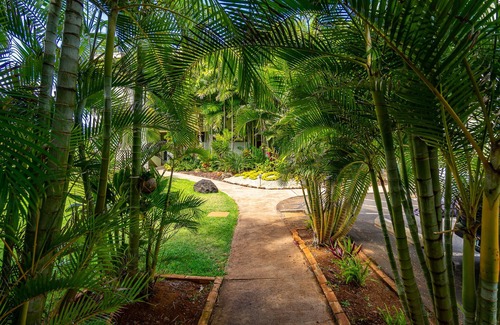Haleiwa Condo | Haleiwa Beachfront Condo. Perfect Peaceful Paradise!