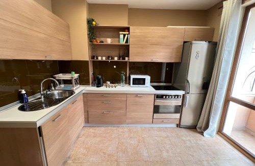 Sofia City Center Apartment | Hamburg 2BDR Family Apt next to NDK and Vitosha BLVD