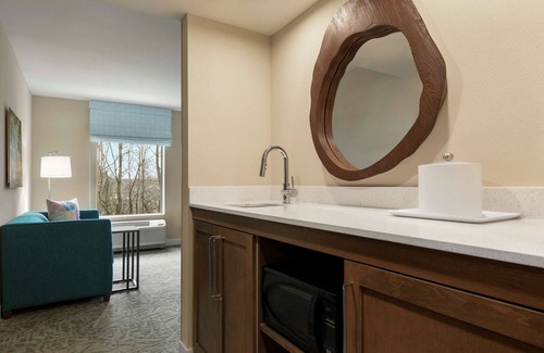 Johns Creek Hotel | Hampton Inn & Suites Johns Creek
