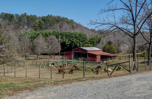 Murphy Cabin | Handicap Accessible Log cabin 20ft off Cobb Creek - Historic Cobb Estate Cir1861