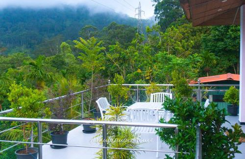 Moragolla House | Hanthana Home