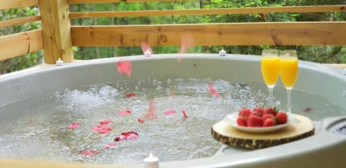 Gatlinburg - Pigeon Forge House | Happy Camper cottage