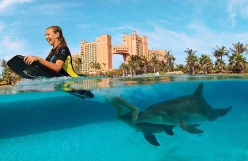 Paradise Island Condo | Harborside Resort at Atlantis 2 BR L/off, Waterpark and Atlantis full access
