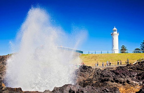 Kiama Apartment | Harbourside Studio Apartment
