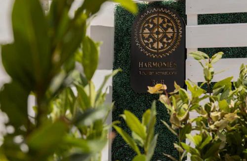 Municipio 5 Bed & Breakfast | Harmonies BnB