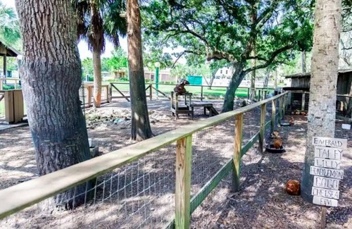 Steinhatchee House | Hatch Life in Steinhatchee Landing