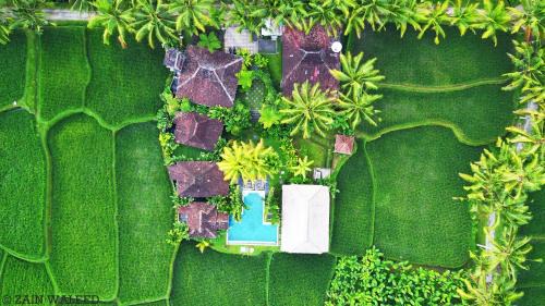 Sambahan Bed & Breakfast | Hati Padi Cottages