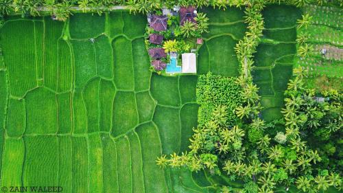 Sambahan Bed & Breakfast | Hati Padi Cottages