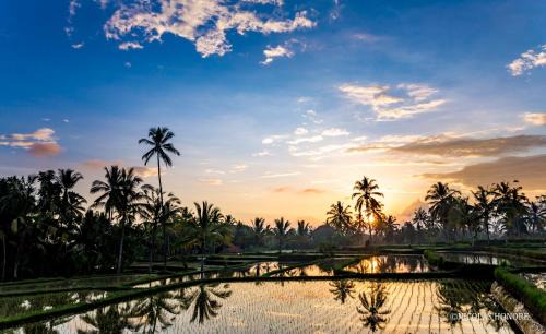 Sambahan Bed & Breakfast | Hati Padi Cottages